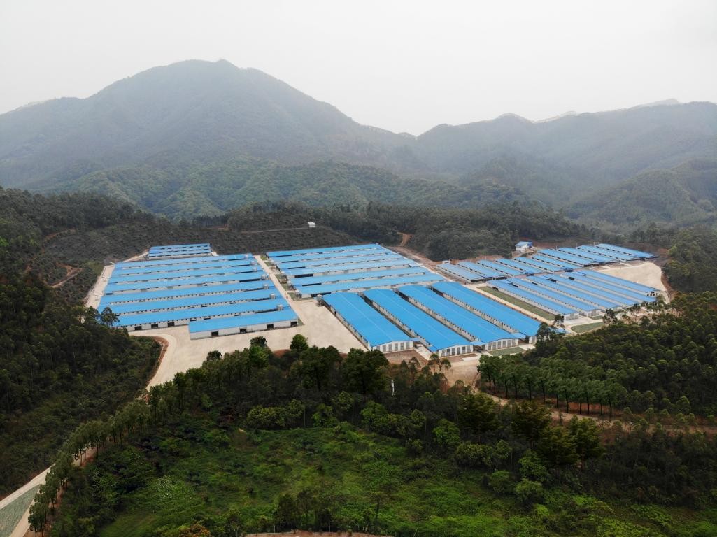 出口示范基地“進(jìn)階記”④ | 出口創(chuàng)匯8677萬美元，唐順興食品爭當(dāng)農(nóng)產(chǎn)品出口大戶