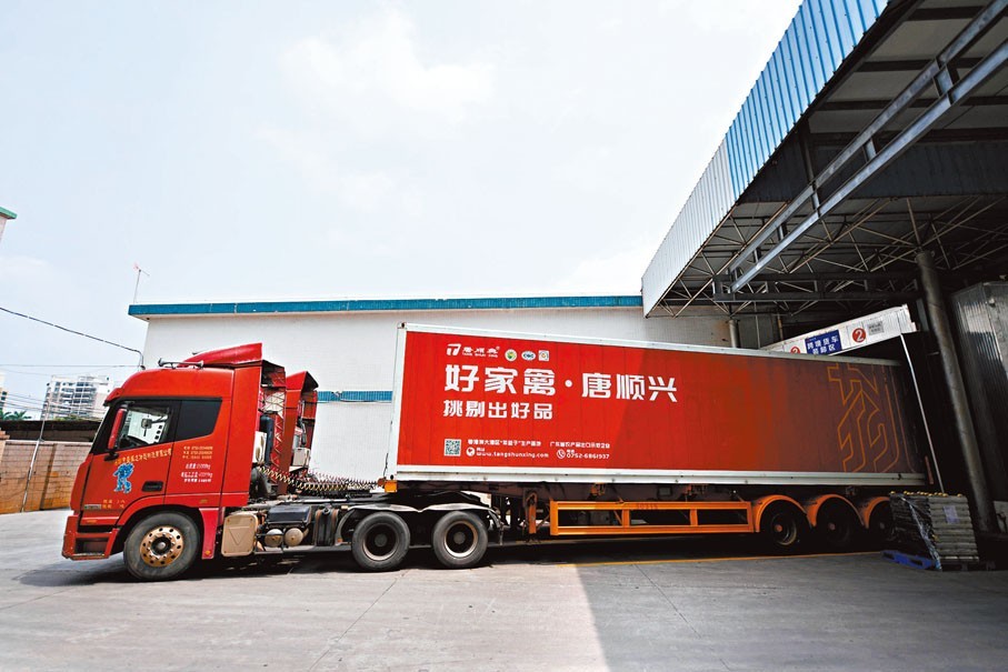 唐順興：解鎖白切雞風(fēng)味，食材源頭直供批發(fā)廠家